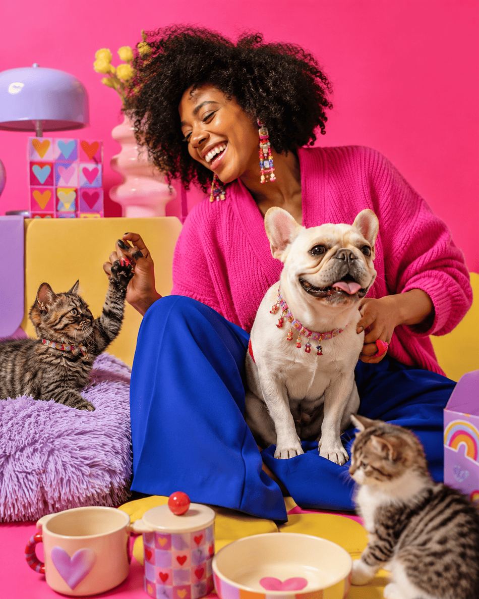 Vrolijk beeld met hond en kittens